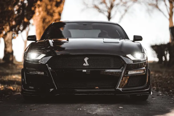 لاك لاند كازينو تطبيق أندرويد/آي أو إس